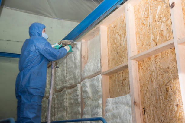 Best Crawl Space Insulation  in Burlington, ND